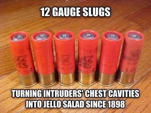 12-gauge-slugs-turning-intruders-chest-cavities-into-jello-salad-since-189896b5f15e67d02b8d.jpeg