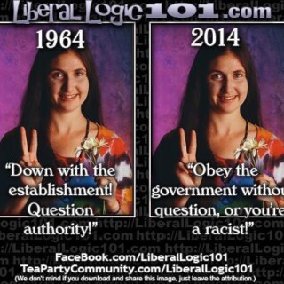 1964-down-with-the-establishment-question-authority-2014-obey-the-government-without-question-or-youre-a-racistefe4dd5476c250b0