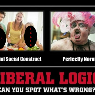 LIBERALLOGIC8e8b9d5be4ac3684