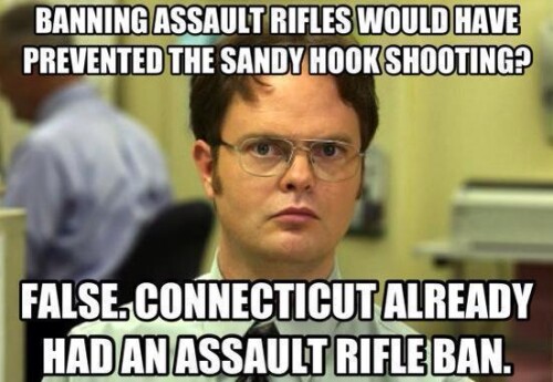 banning-assault-rifles-would-have-prevented-the-sandy-hook-shootingab554200258b2d9a.jpeg