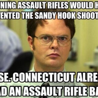 banning-assault-rifles-would-have-prevented-the-sandy-hook-shootingab554200258b2d9a