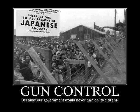 gun-control-because-our-government-would-never-turn-on-its-citizens54bc0b86e1f2ea1a.jpeg