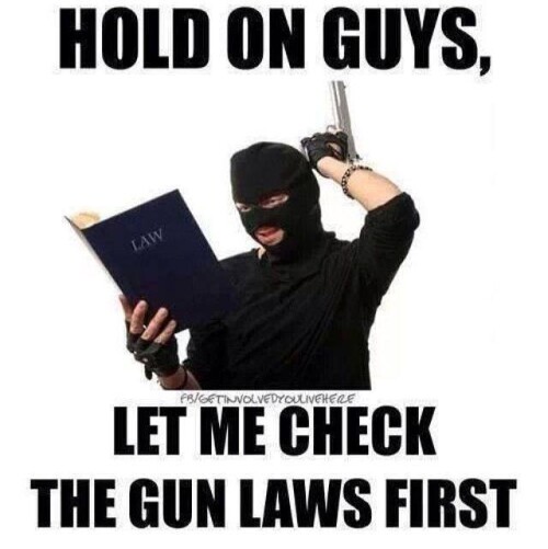 hold-on-guys-let-me-check-the-gun-laws-first93d018355e5ad071.jpeg