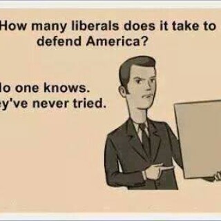 how-many-liberals-does-it-take-to-defend-america81d08c29286080a8