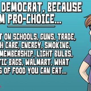 i_vote_democrat_because_im_pro_choice1dc9515db1f6bb8c