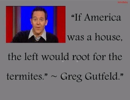 if-america-was-a-house-the-left-would-root-for-the-termites8ac04df161fd6c97.jpeg