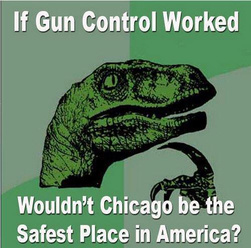 if-gun-control-worked-wouldnt-chicago-be-the-safest-place-in-america73bff763a979c24c.jpeg