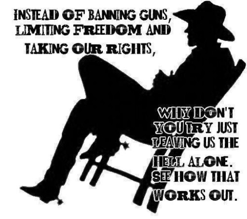 instead_of_banning_guns_limiting_freedom_and_taking_our_rights_why_dont_you_try_just_leaving_us_the_hell_alone35279299c7d015e4.jpeg