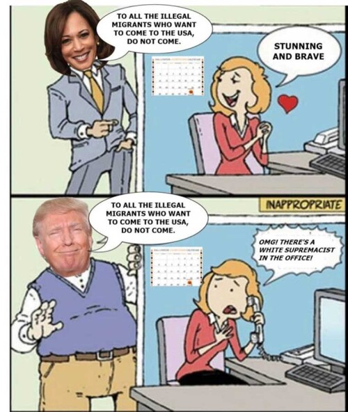 kamala-harris-trump-cartoon73b12f484cbda5ef.jpeg