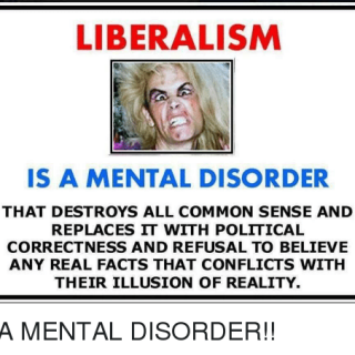 liberalism-is-a-mental-disorder-that-destroys-all-common-sense-292962925dd4dedd0813b971