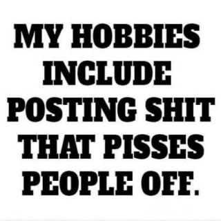 16-my-hobbies-include-posting-shit-sarcastic-quote2a5d6bfe29fbc51f