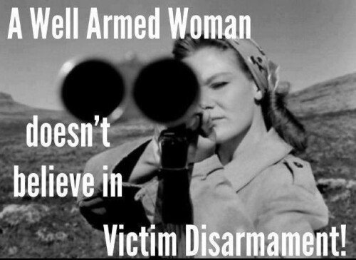 a-well-armed-woman-doesnt-believe-in-victim-disarmament14a6ada4bdc1b50b.jpeg