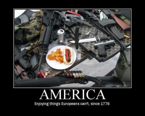 america-enjoying-things-europeans-cant-since-1776077894e8205d2281.jpeg