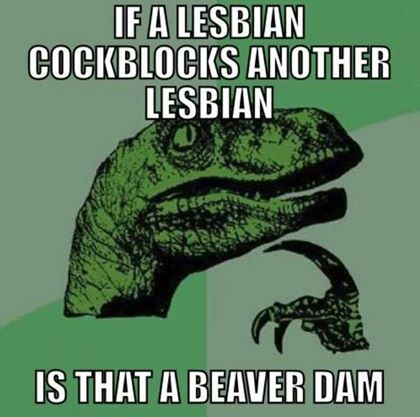 beaver-dame2c63f129eaa1f89.jpeg