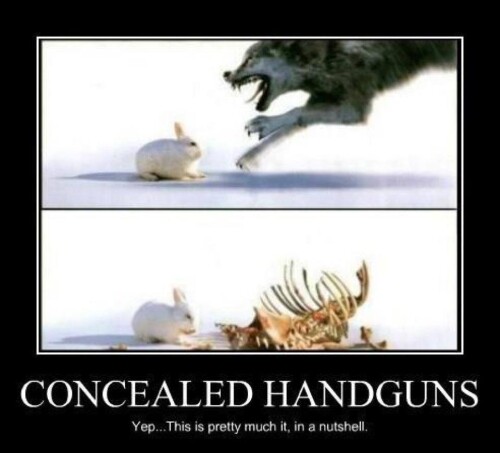 concealed-handguns-in-a-nutshell9a6e1daacb5761f9.jpeg