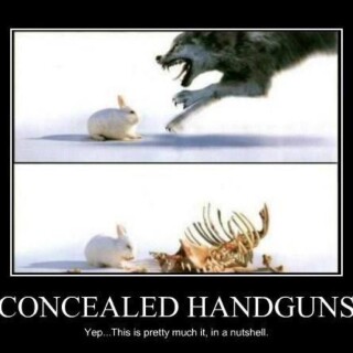 concealed-handguns-in-a-nutshell9a6e1daacb5761f9