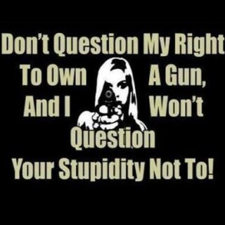 dont_question_my_right_to_own_a_gun04946b4c881efe33