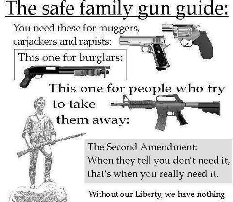 family-gun-guide7966596045f5807f.jpeg