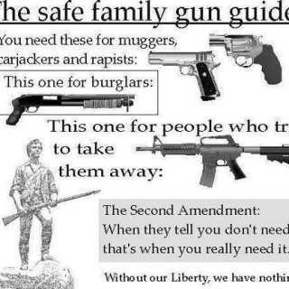 family-gun-guide7966596045f5807f