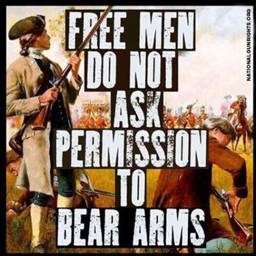 free-men-do-not-ask-for-permission-to-bear-armsfa42ea955ae95287.jpeg