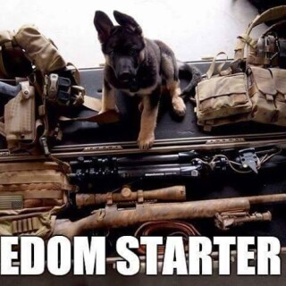 freedom-starter-kitc93d3d03121535a4