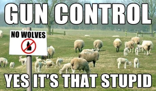 gun-control-yes-its-that-stupidb15909c20d81ae80.jpeg