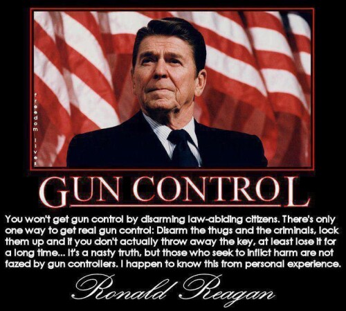 gun-control1ef965a9da8780cb0.jpeg