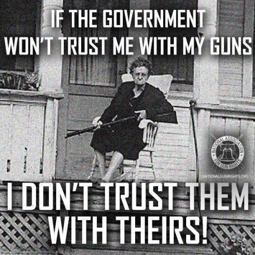 if-the-government-wont-trust-me-with-my-guns-i-dont-trust-them-with-theirs96b82adf3984781f.jpeg