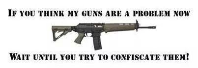 if-you-think-my-guns-are-a-problem-now-wait-until-you-try-to-confiscate-them01a8d888dd8b01e0.jpeg