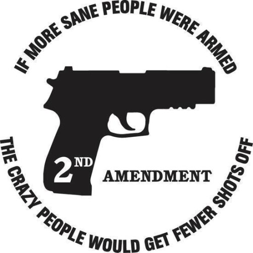 if_more_sane_people_were_armed_the_crazy_people_would_get_fewer_shots_offffb7b3972e4a0a16.jpeg