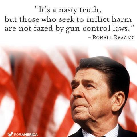 its-a-nasty-truth-but-those-who-seek-to-inflict-harm-are-not-fazed-by-gun-control-laws14290a55c6b0e34b.jpeg