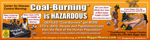 NM-Banner_032_Coal-Burning-Definition_jpg5a7f597f1b2e86c9.jpeg