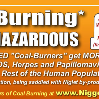 NM-Banner_032_Coal-Burning-Definition_jpg5a7f597f1b2e86c9