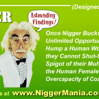 NM-Banner_033_Over-Stuffing-with-Nig-Coal_jpg90e7809227e906ce