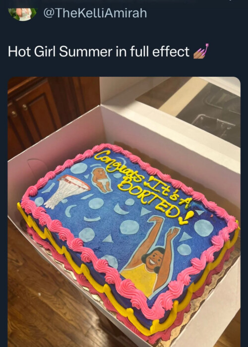 abortion_cake0054f22f96e1b1b5.jpeg