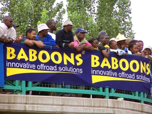 baboons58f4a76b138647af.jpeg