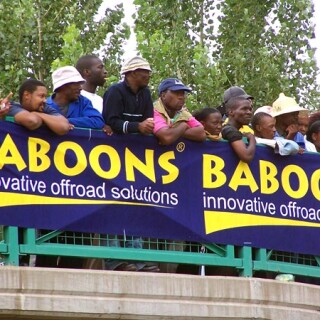 baboons58f4a76b138647af