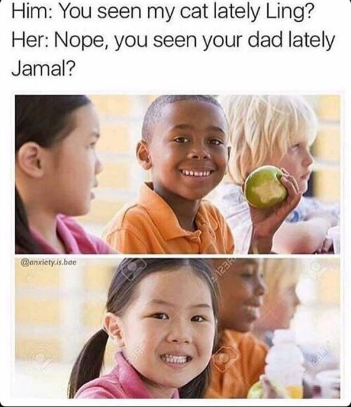 black-kid-chinese-girl-racial-jokes-funnyc6045f6b8c148f85.jpeg