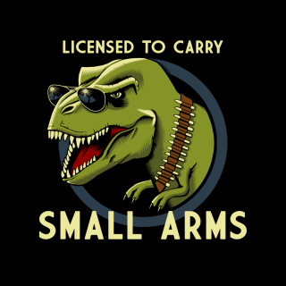 licensed-to-carry-small-armse7e286cc1ca2cf74