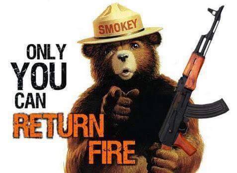 only-you-can-return-fire9a77d2972384cd0b.jpeg