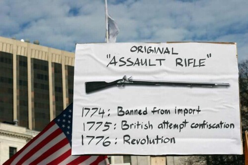 original-assault-rifleb63ec7e8a7073c81.jpeg