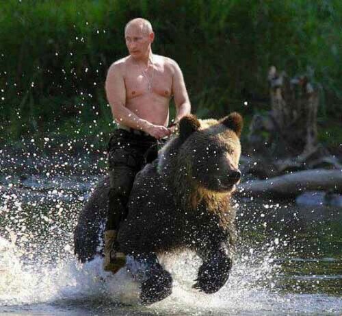 putin-riding-bear807dc9a72a0534a3.jpeg