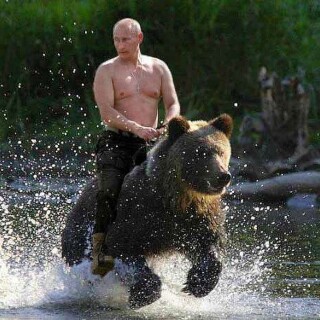 putin-riding-bear807dc9a72a0534a3