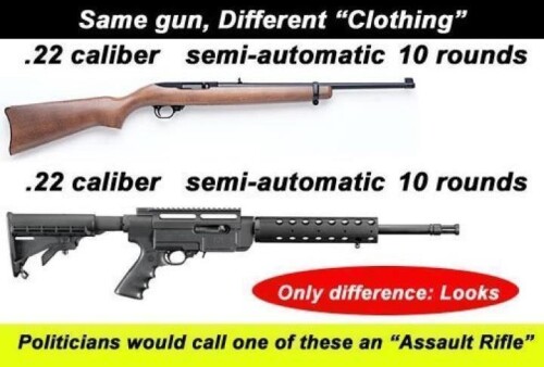 same-gun-different-clothing-politicians-would-call-one-of-these-an-assault-rifle18808d8260c8cf3b.jpeg