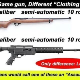 same-gun-different-clothing-politicians-would-call-one-of-these-an-assault-rifle18808d8260c8cf3b