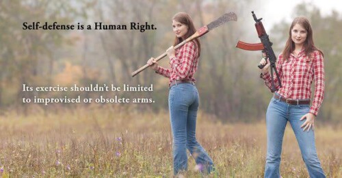 self_defense_is_a_human_rightd049075e2016b071.jpeg