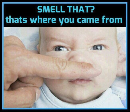 smell-that-baby8721edd4b59ee976.jpeg