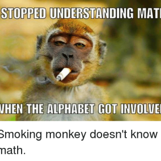 stopped-understanding-math-when-the-alphabet-got-inuolved-smoking-monkey-83494237aa992faae8fa947