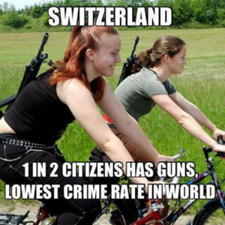 switzerland-1-in-2-citizens-has-guns-lowest-crime-rate-in-the-world91f58eaae0492024.png