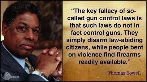 the-key-fallacy-of-so-called-gun-control-laws-is-that-such-laws-do-not-in-fact-control-gunsae5d6b9f70e14e2b.jpeg